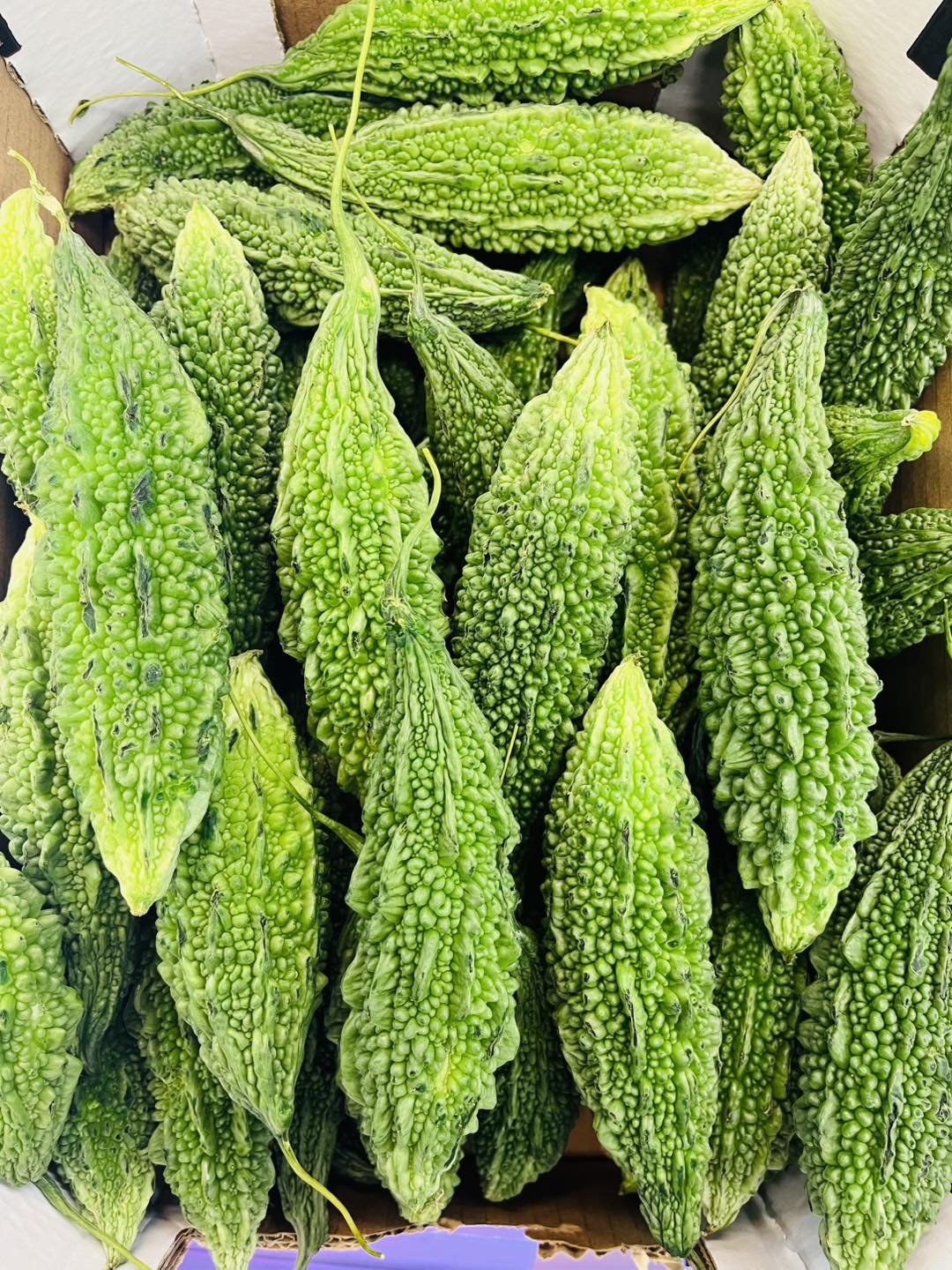 Bitter-Gourd-1.jpg Fresh Green Korola - Image 1