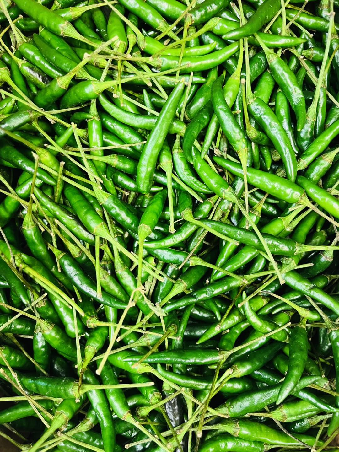 Green-Chili-1.jpg Fresh Green Chilli - Image 1